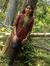 Aarthi ...