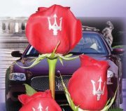 ტრეიდერი საქართველო