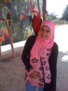 Maram Khattab