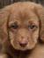 Sandy Zins