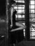 Heba