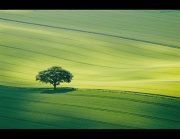 عبدالعزيز الماضي