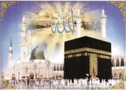 أمنيتي الفردوس