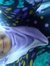 Nurul A...