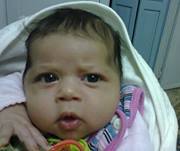 زهرة المدائن