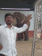 Niranjan Pinisetti