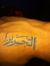 Ahmed Y...