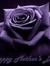 Donna M...