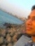 Manoj K...