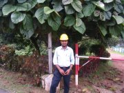 Adith Hariharasubramanian