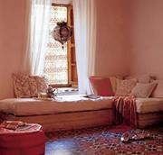 أموية الهوى