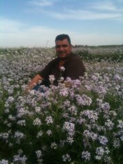 محمد الكناني