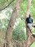 Praful ...