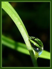 Ваня Йончева