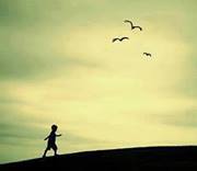 Waleed Gamal