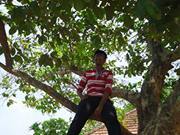 Srv Aravind iyer