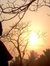 Soumya ...