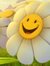 Razan G...