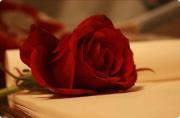 Kaady Al