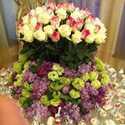 Анара Камельинова