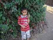 محمد الحداد