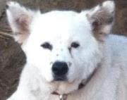 Nancy Belden martinez