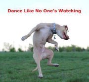 Carolyn Soppick smith