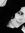 Alexand...