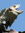 Linda | 31 comments