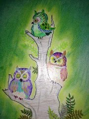 Kimberly Currie morrison