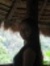 Rashmi ...