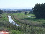 عشيرة العايدي