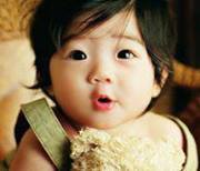 زهرة الخزامى