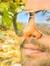Akhil