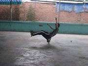 Nhật Võ