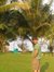 Mahesh ...
