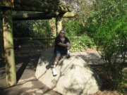 Arlenea Higginbotham