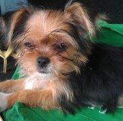 Cheryle Mchugh mclean