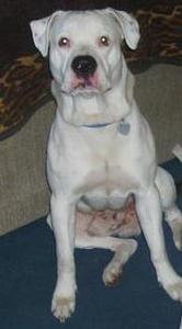 Mary Workman vickers