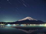 Thalia Bastarrachea basteris