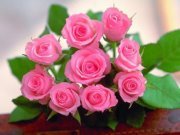 Mohana Priya