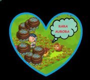 Rara Aurora