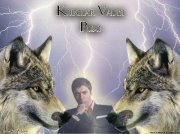 الذيب ابو الادب