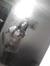 Amy Dic...