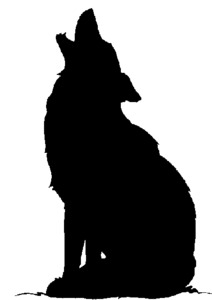 Coyote Longfall