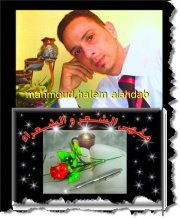 الشاعر محمود