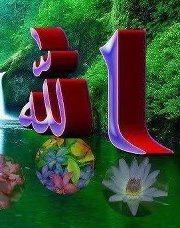 عبدالخالق شعبان