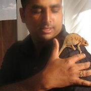 Sachin Bundhoo