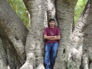 Honey Duhar