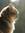 Cat's Review